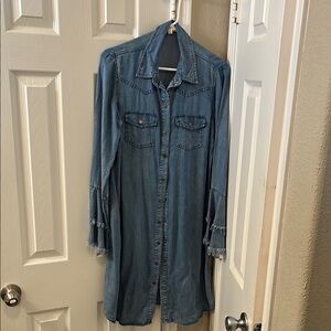 Denim Long Sleeve Button-Up Dress
